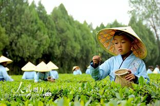 克莱：今晚投篮感觉很好 我的目标是每晚都尽量保持高效